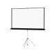 8' PROJECTION SCREEN      